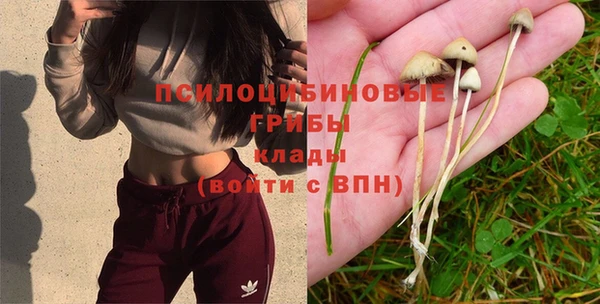 каннабис Волоколамск