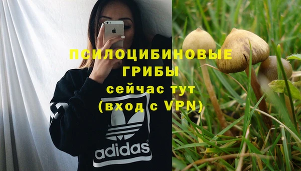 прущая мука Володарск