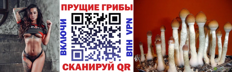 Галлюциногенные грибы Magic Shrooms  Малаховка 